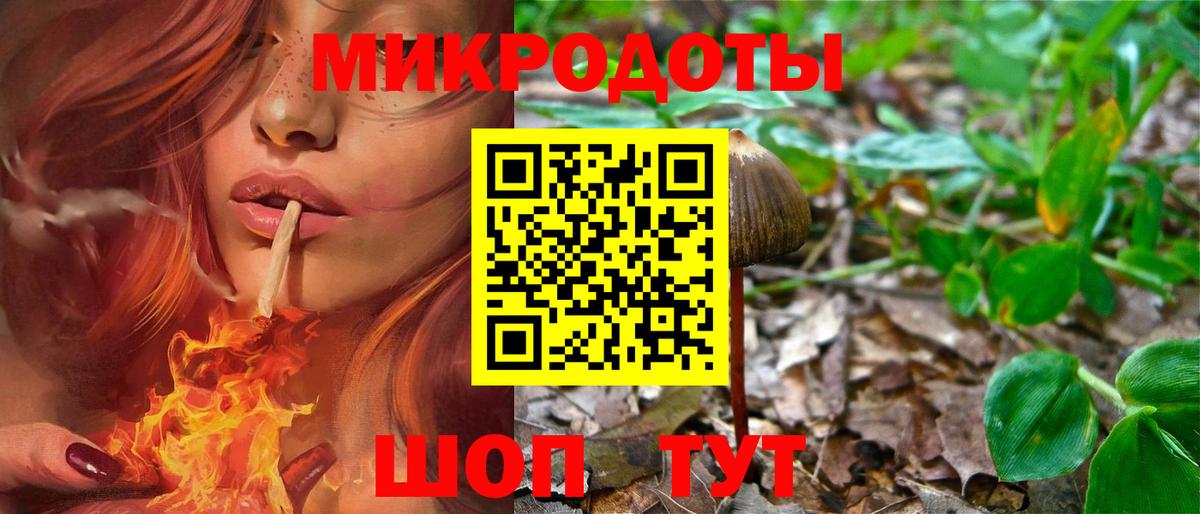 Псилоцибиновые грибы мицелий Новосибирск