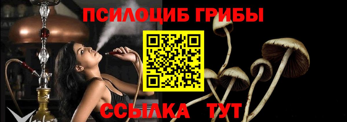 Галлюциногенные грибы GOLDEN TEACHER  даркнет сайт  Галлюциногенные грибы Cubensis  Новосибирск  Вход с VPN 