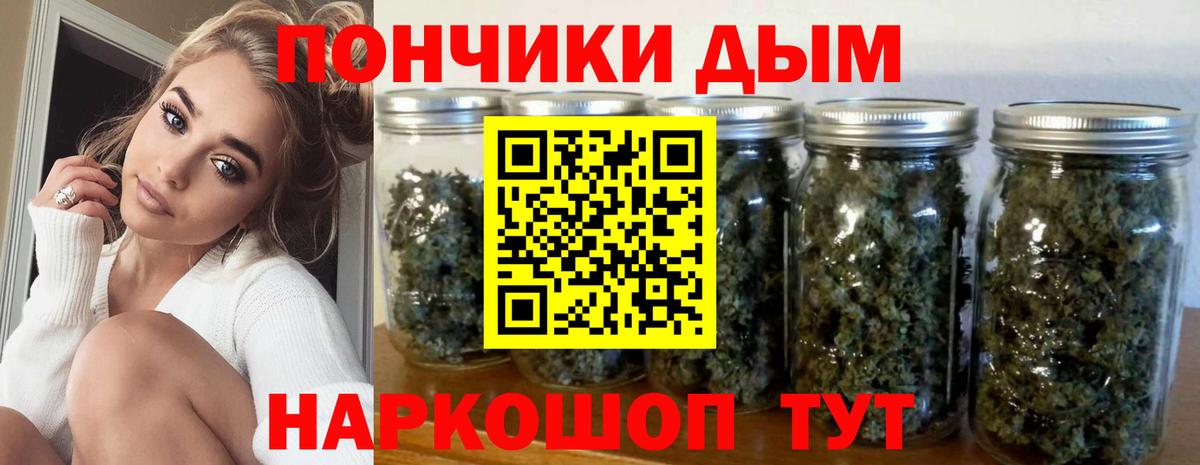 Новосибирск  Канабис сатива  Бошки марихуана OG Kush  Марихуана OG Kush  Вход с VPN 
